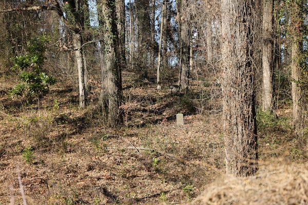 Vegetation at the historic Piney Grove Cemetery in Buckhead is preventing descendants of those buried there from visiting. (Jason Getz / Jason.Getz@ajc.com)