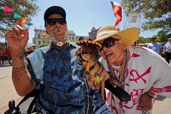 A tourist has her picture taken with "Killer" a Chihuahua/Doberman mix and his owner Joseph Martinez as they attend Cinco de Mayo festivities on May 5, 2010 in downtown Los Angeles, California.