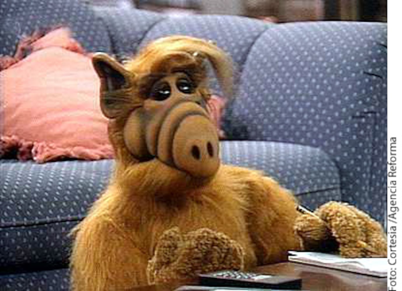 ALF