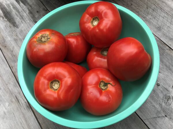 Turn fresh tomatoes into a powder for meat, fries, yogurt and more. LIGAYA FIGUERAS / LFIGUERAS@AJC.COM.