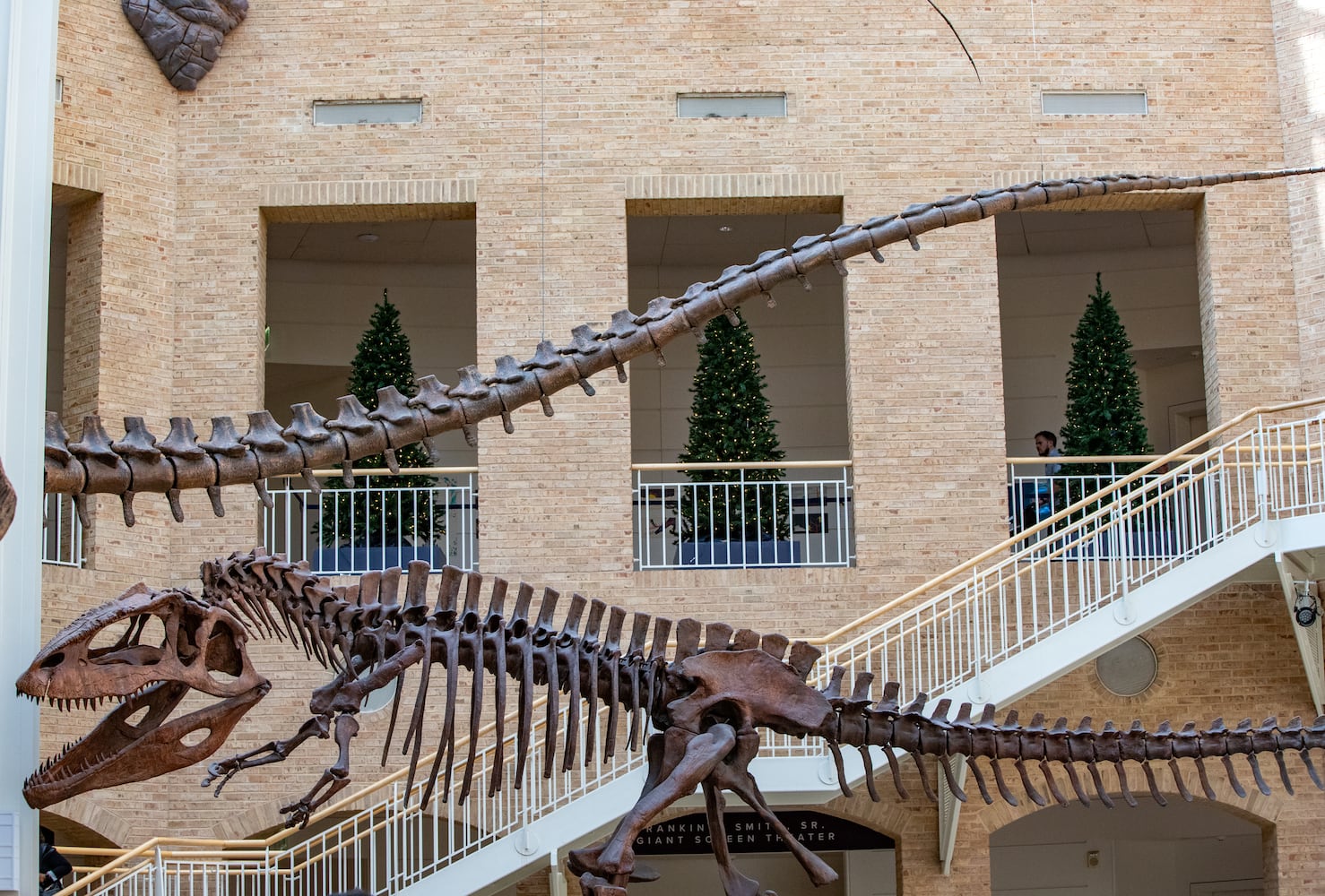 Fernbank Museum prepares for the 15th annual "Winter Wonderland" exhibit Saturday, Nov 16, 2024 where Atlanta cultural partners and representatives of 25 countries decorate Christmas trees for the holiday display. Exhibit opens November 23 and runs through January 12, 2025. (Jenni Girtman for The Atlanta Journal Constitution)