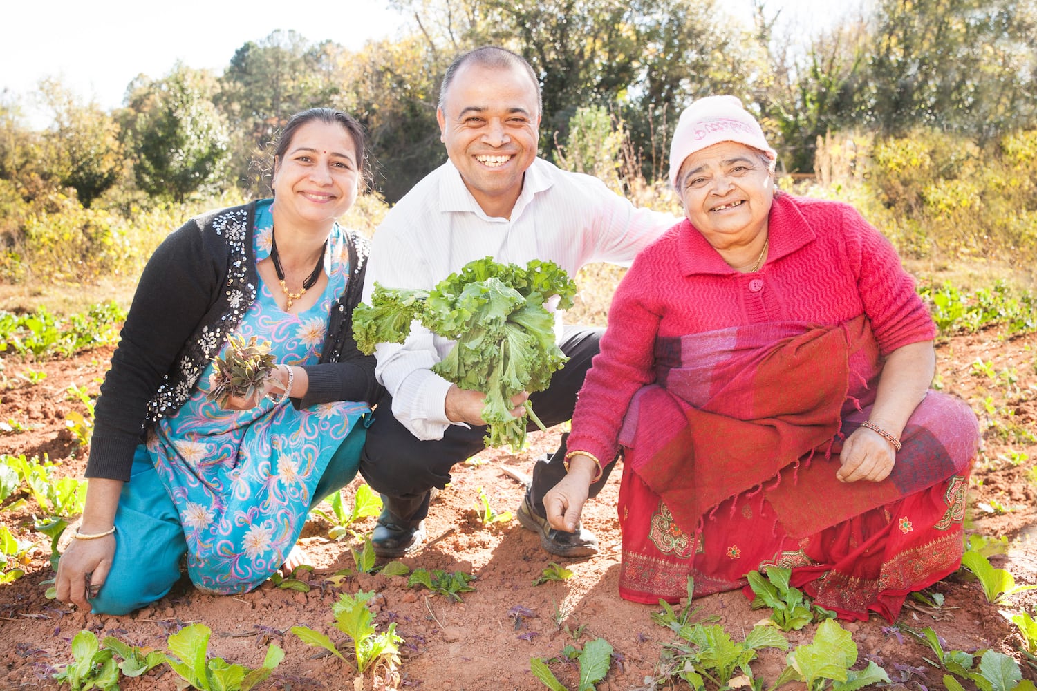 Decatur's Kitchen Garden