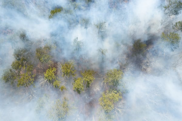 Smoke from a 237 acre controlled burn fills the air in the Allatoona Wildlife Management Area in Ackworth on Thursday, Jan. 16, 2025.   Ben Gray for the Atlanta Journal-Constitution