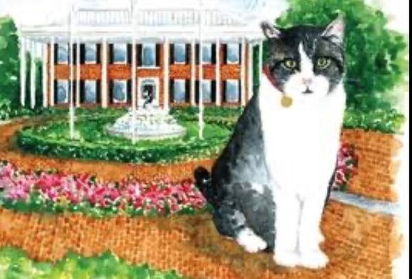 Former Georgia Gov. Nathan Deal has written a book about his cat Veto. The image is from the book cover. 