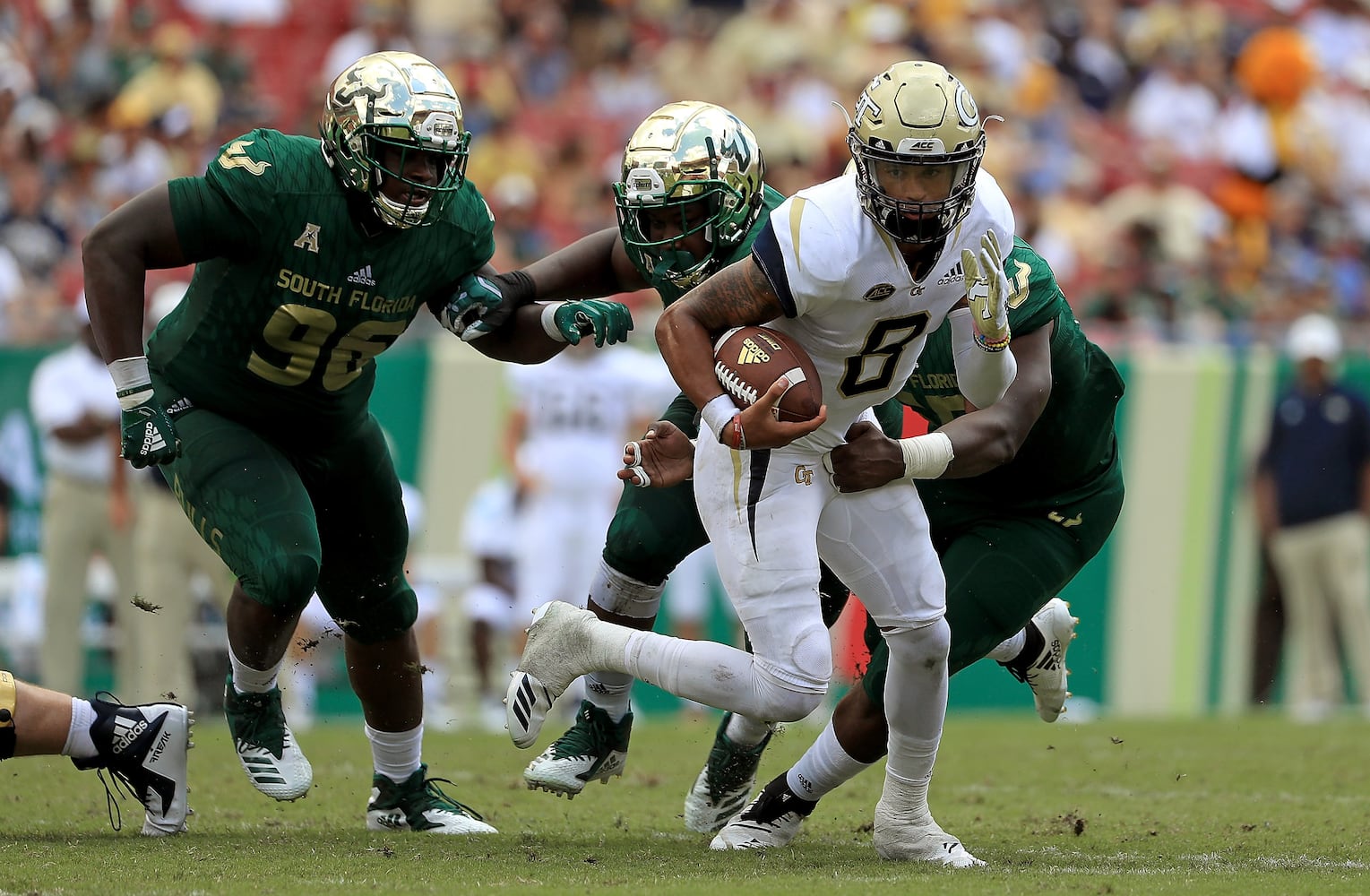 Photos: Georgia Tech is tested by South Florida