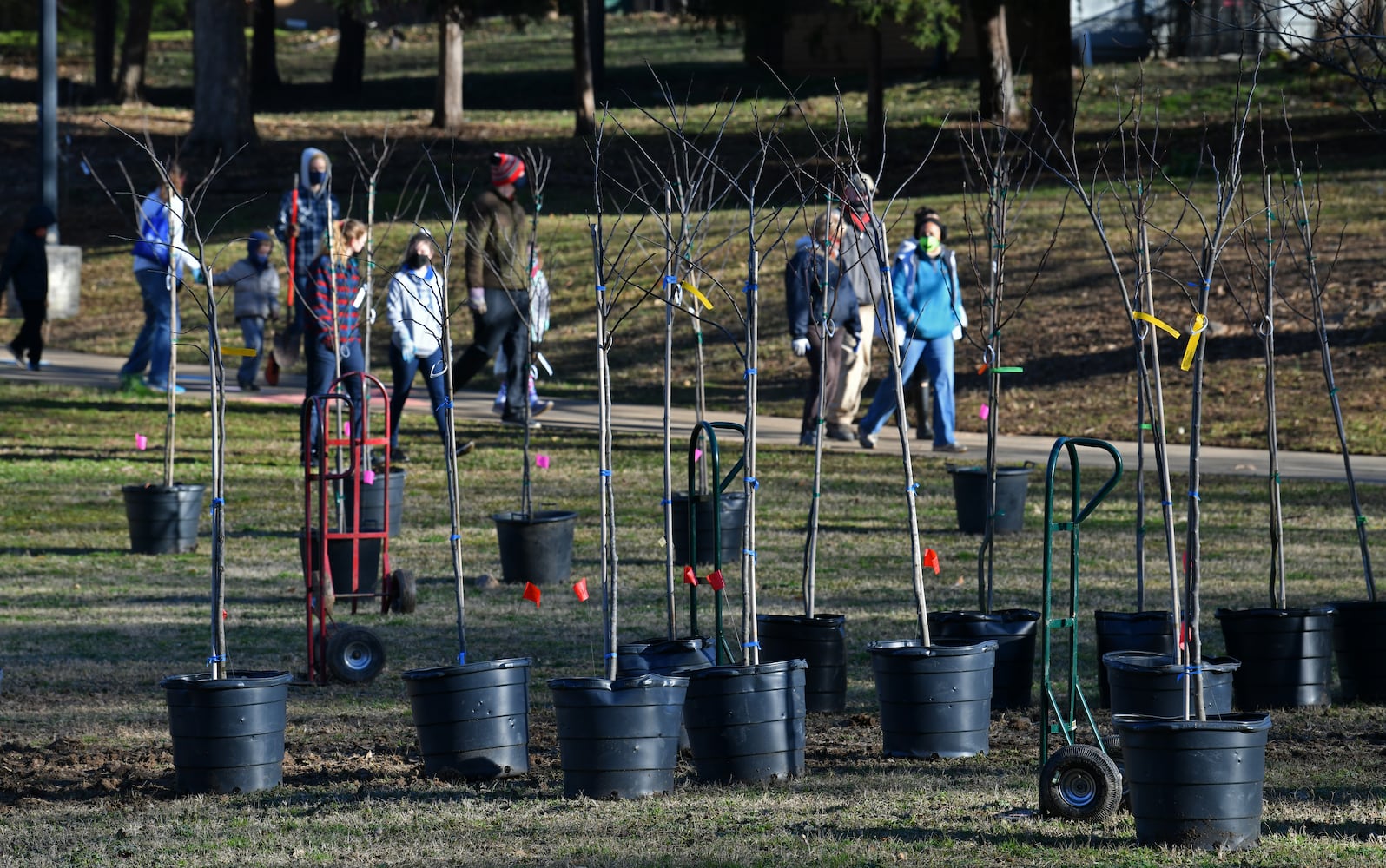 300 trees planted at Freedom Park to honor John Lewis