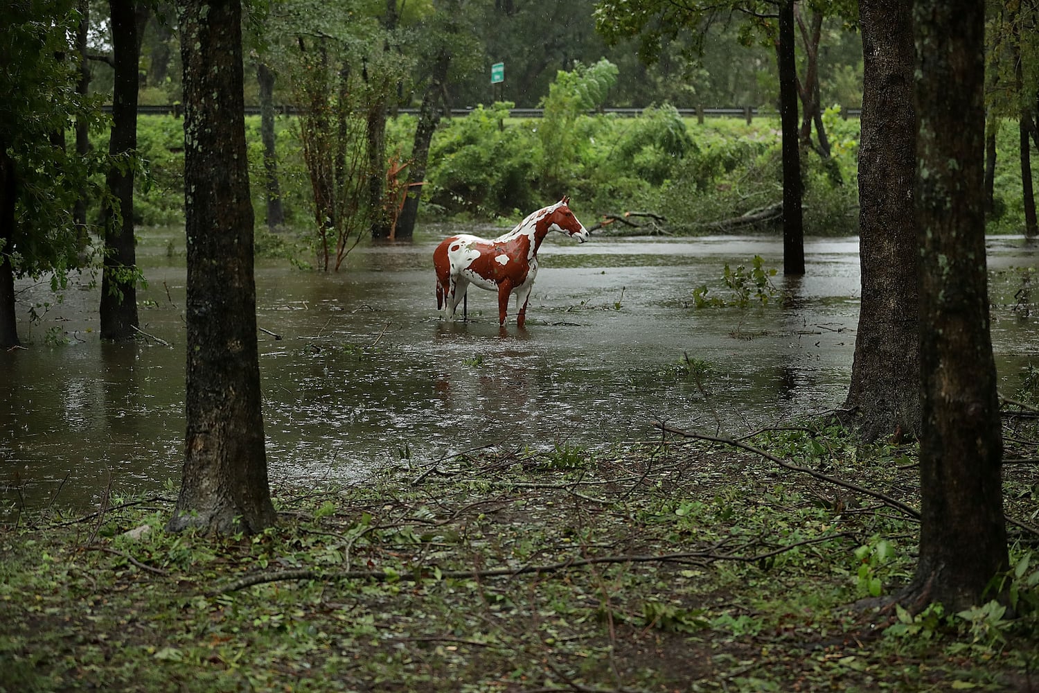 Photos: Tropical Storm Florence soaks Carolinas