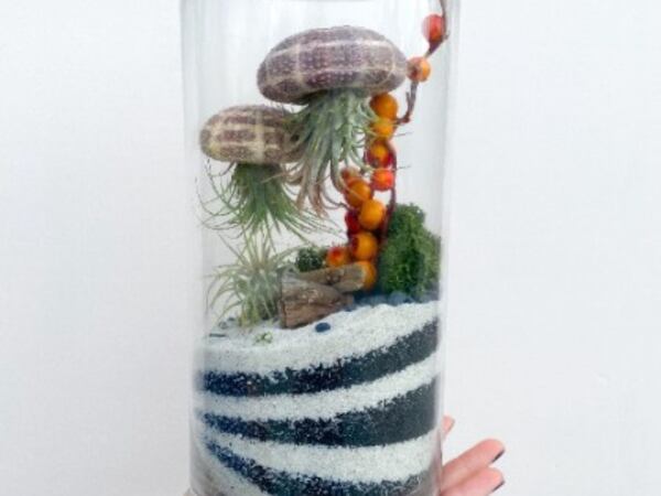 Make and take a “jellyfish” terrarium at PlantHouse in Decatur.