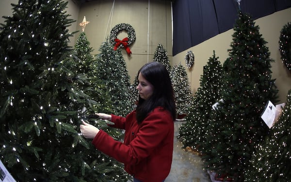 In this Friday, Nov. 22, 2013 photo, Christmas Lights Etc. employee Ashley Hollis fluffs a Christmas tree on the company’s temporary showroom floor in Alpharetta, Ga. Christmas Lights Etc., which sells trees, lights and decorations online to consumers and corporate customers year-round, gets under 5 percent of its annual revenue from showroom sales to the public during the holidays. Like other online retailers with temporary stores, the company uses the showroom as an opportunity to let shoppers see the merchandise before they buy, especially since a tree can be a big-ticket item. (AP Photo/John Bazemore)