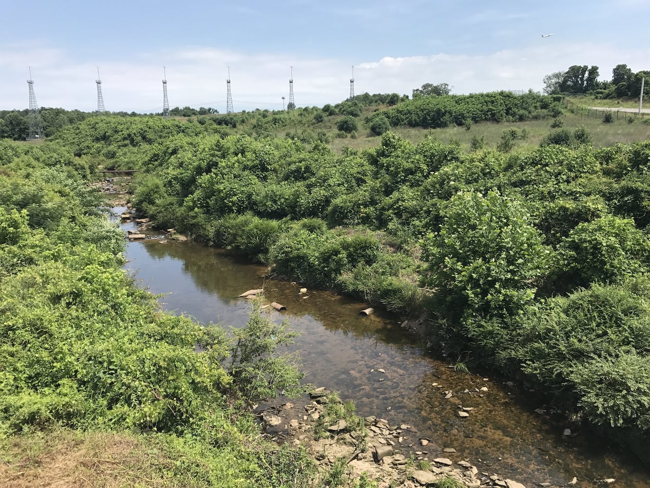 Airport, Delta aid Flint River restoration effort