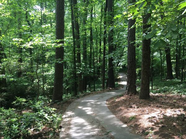 Holy Spirit Catholic Church and its associated preparatory school want to clear some of these trees should the city of Sandy Springs approve plans to expand. The proposal is meeting backlash and threats of a lawsuit from some in the neighborhood. (Ben Brasch/AJC)