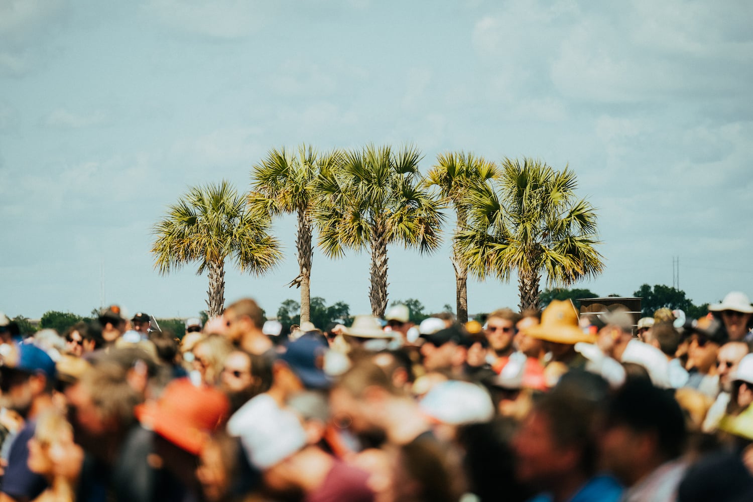 Everything you need to know about Charleston’s High Water Festival