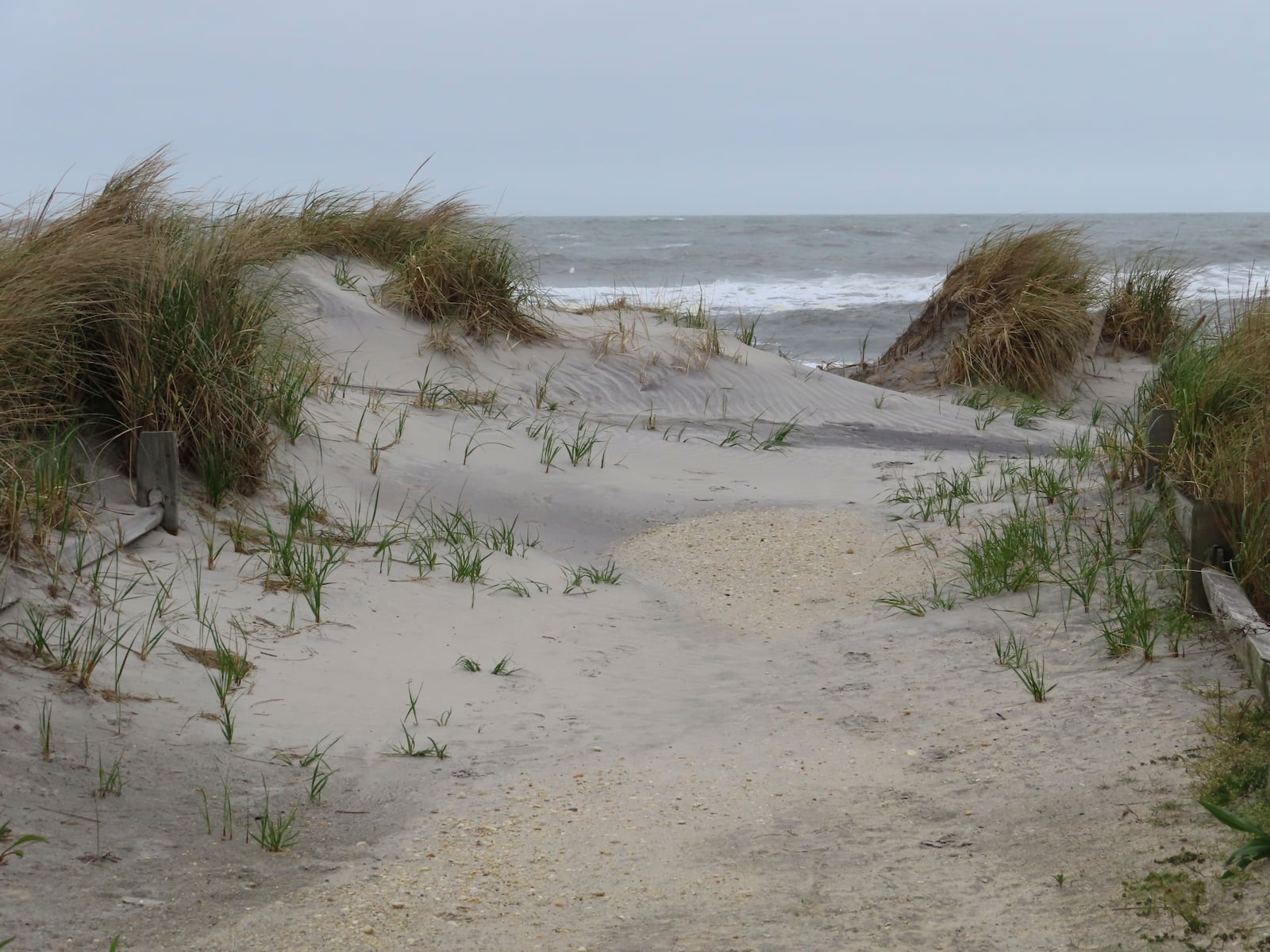 An undeveloped stretch of beach is seen on May 11, 2022, in Brigantine, N.J., where opponents of offshore wind projects worry about adverse affects from construction and operation of the ocean-based turbines. (AP Photo/Wayne Parry)