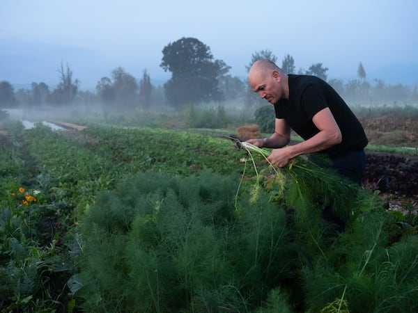 Eduardo García has helped herald in Mexico City's farm to table movement through his commitment to sustainably sourced ingredients. Photos by Mallika Vora