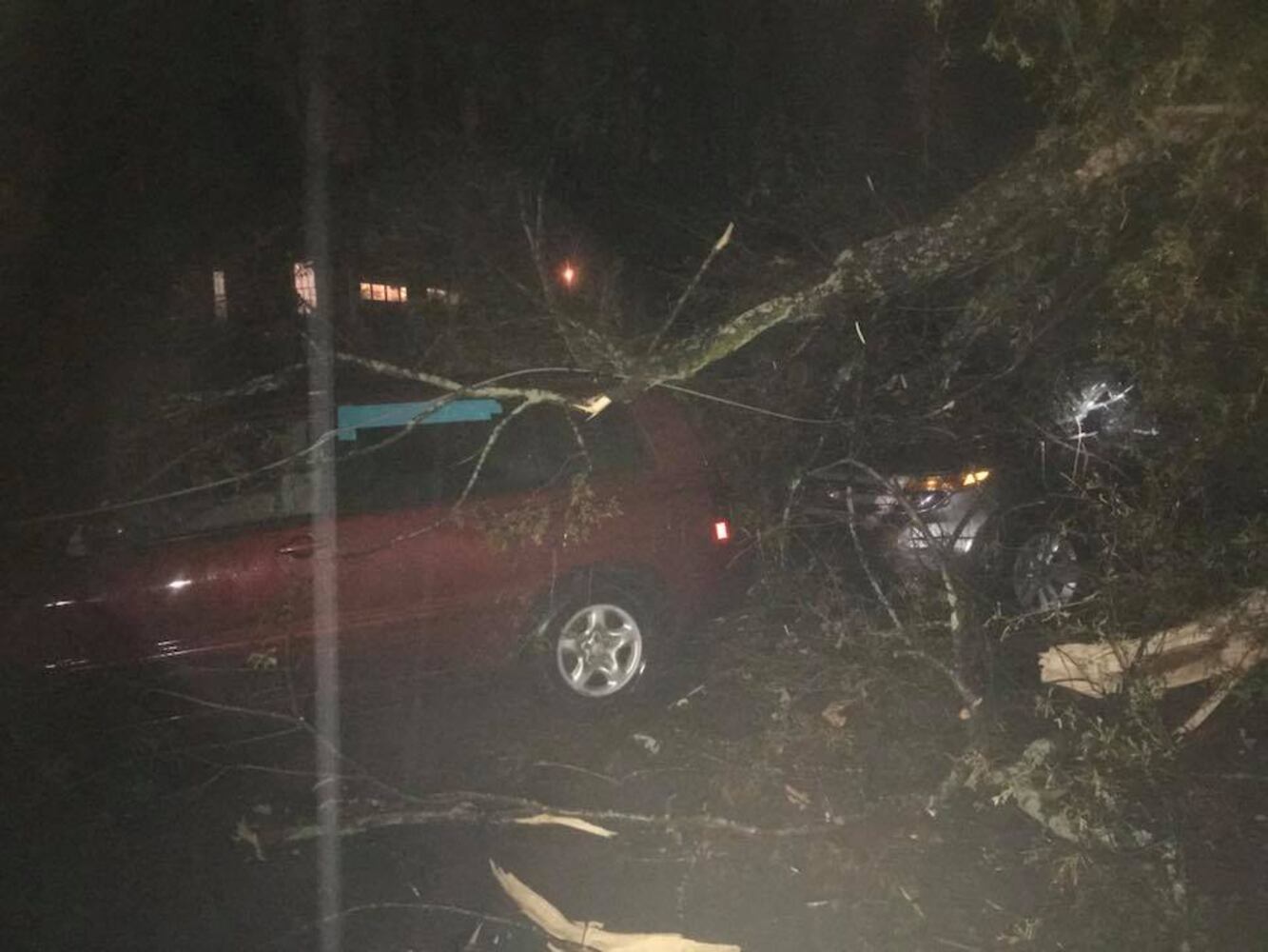 Photos: Storms blow through the south, leave damage in wake