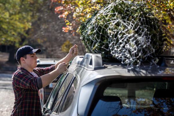 Nick Anthony secures a Christmas tree to a customer's car at the Trees For Tuition lot in Virginia-Highland
 on Saturday, November 25, 2023. (Steve Schaefer/steve.schaefer@ajc.com)