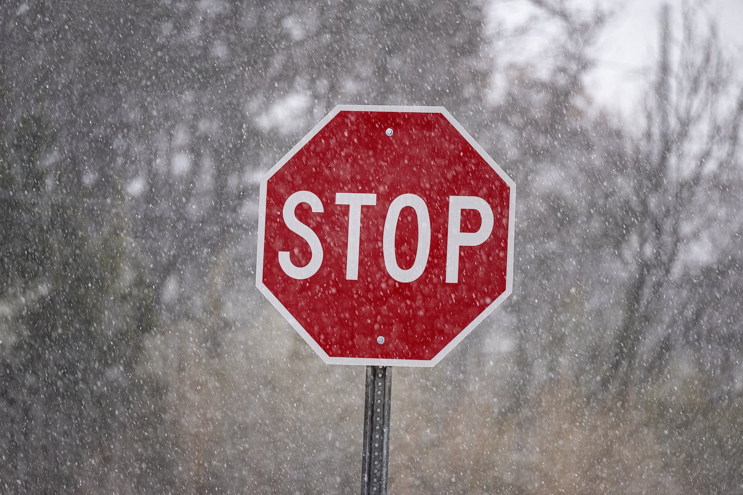 Snow falls and covers the roads in Decatur on Tuesday, Jan. 21, 2025. (Ben Gray for the Atlanta Journal-Constitution)