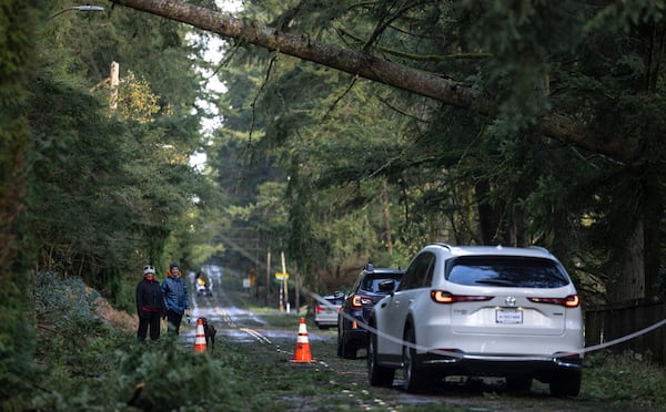 People walk their dog as cars maneuver around downed power lines and trees caused by a "bomb cyclone" storm, Wednesday, Nov. 20, 2024, in Bellevue, Wash. (Nick Wagne/The Seattle Times via AP)