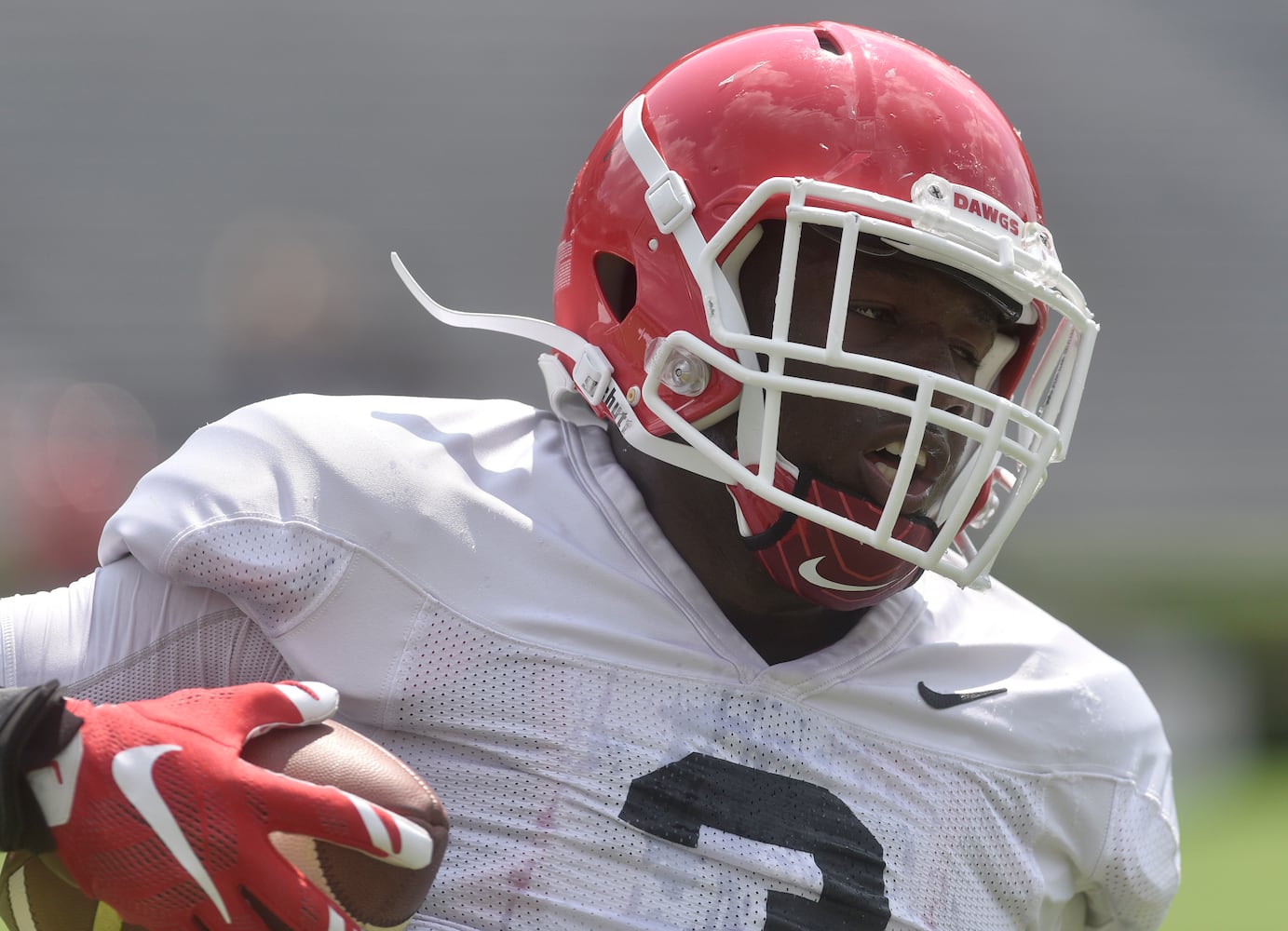 Photos: Bulldogs working hard even on Fan Day