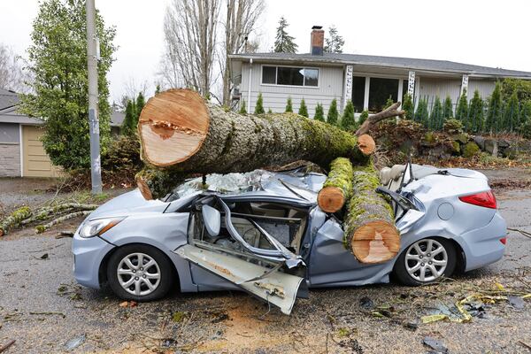 The aftermath of a "bomb cyclone" on NE 35th St. after severe weather hit last night, in Seattle, Wednesday, Nov, 20, 2024. (Karen Ducey/The Seattle Times via AP)