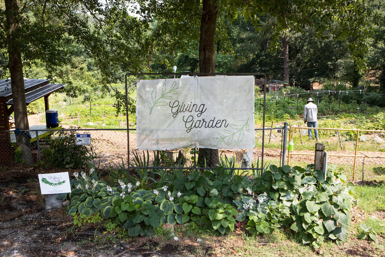 A sunny day at Our Giving Garden on Wednesday, June 7, 2023, in Mableton, Georgia. Our Giving Garden is a nonprofit community garden that donates fresh produce to families without access to it. CHRISTINA MATACOTTA FOR THE ATLANTA JOURNAL-CONSTITUTION.