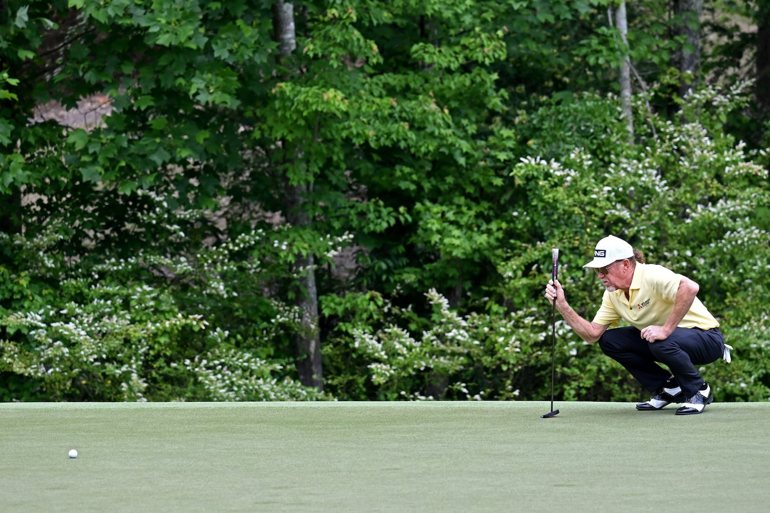 Mitsubishi Golf Classic - Final Round