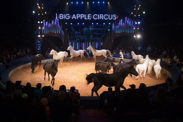 Jenny Vidbel fills the stage with her horses during a recent Sunday afternoon performance of the Big Apple Circus in Alpharetta. Big Apple has a “no wild or exotic animals” policy. STEVE SCHAEFER / SPECIAL TO THE AJC