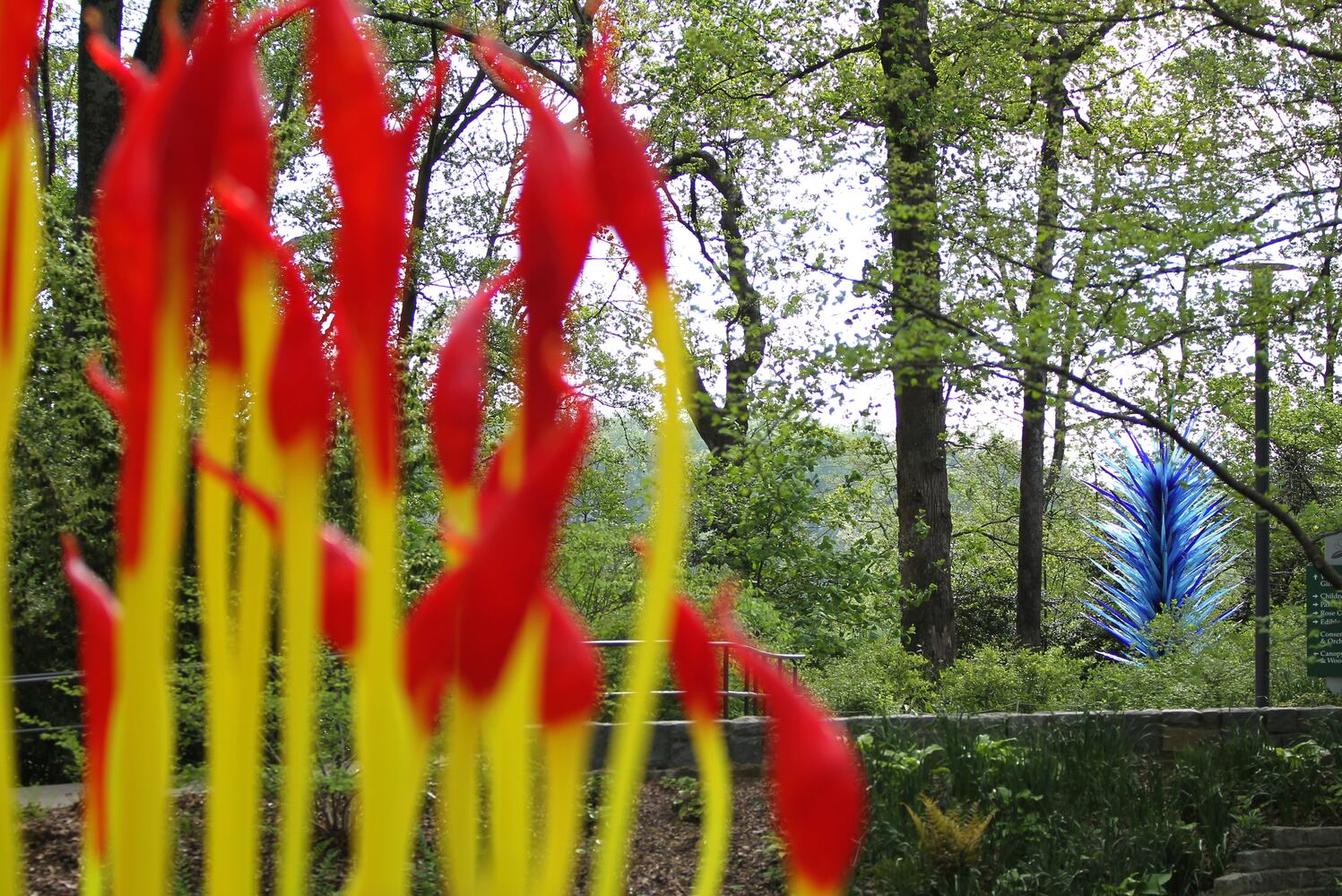 Chihuly Garden Installations | Atlanta Botanical Gardens