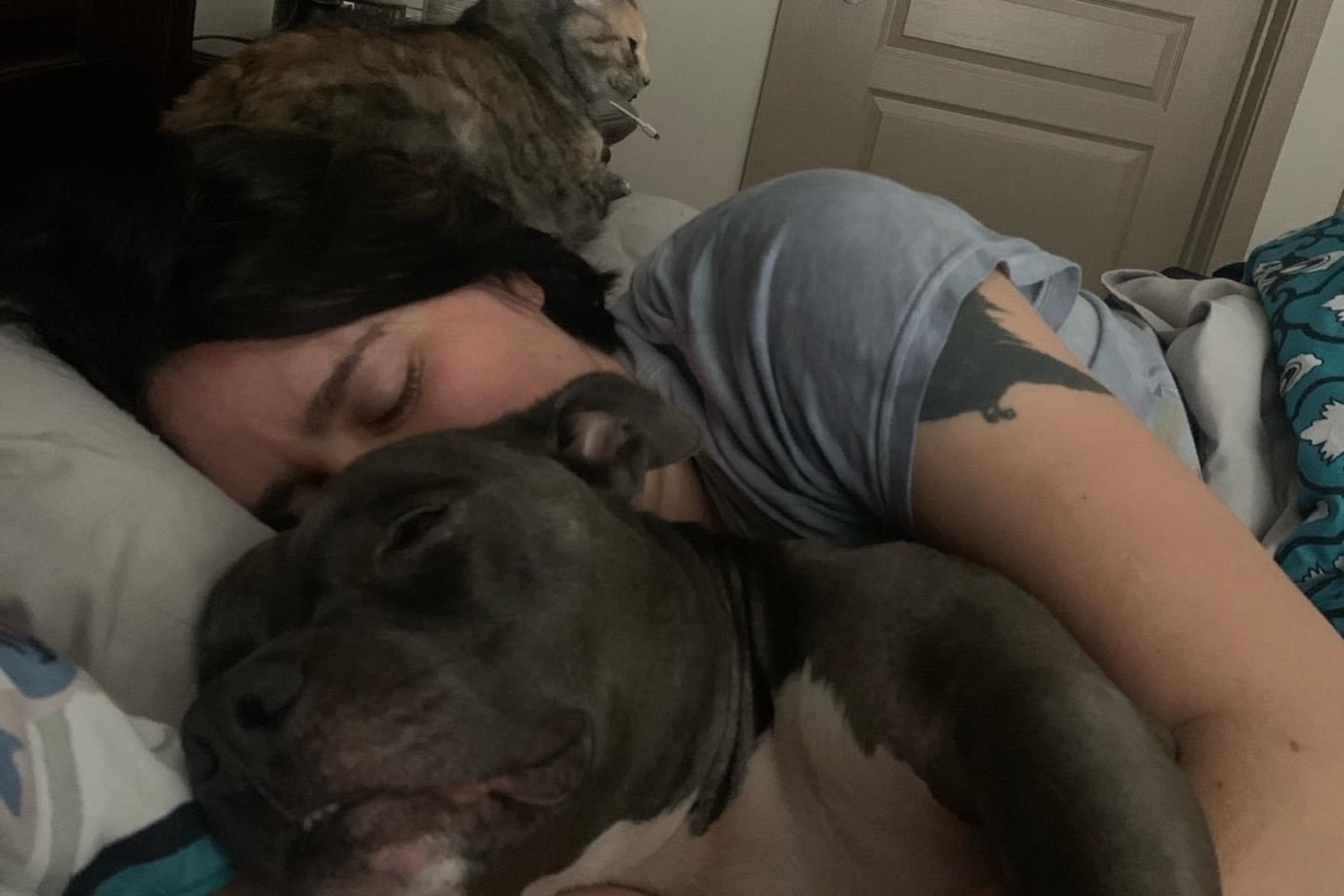 Katie Janness and her 3-year-old dog, Bowie