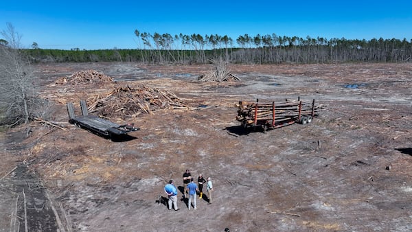 Hurricane Helene damaged 60% of the timber farm owned by Jake and Lana Hilderbrand's property about 90 miles northeast of Valdosta. (Miguel Martinez/AJC)