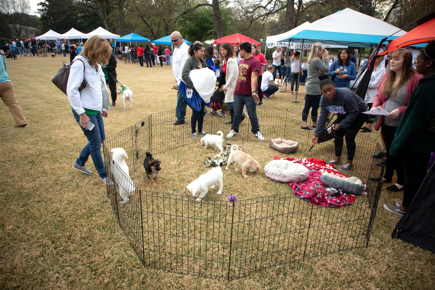 PHOTOS: PET