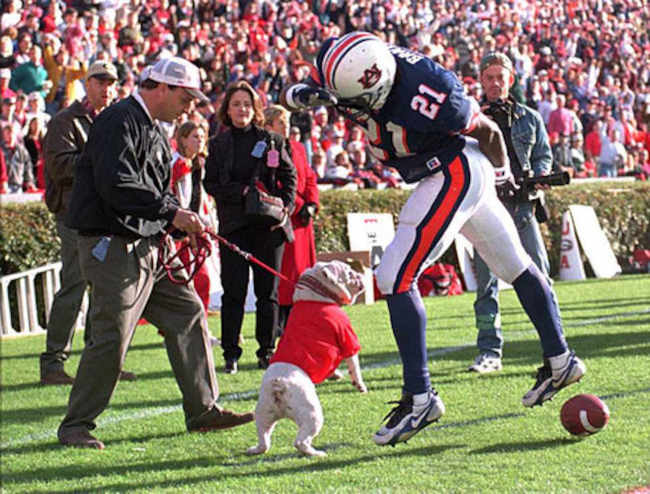 Georgia's Uga mascots