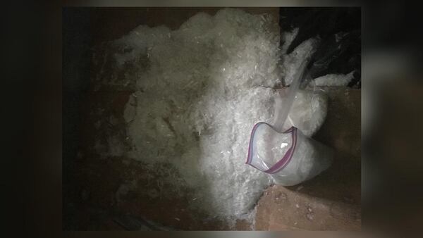 Authorities seized methamphetamine in a North Georgia operation.