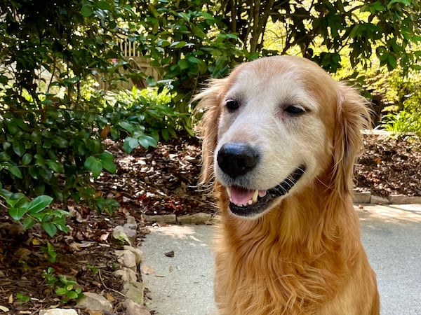 Dunkin Ray calls the Ray family of Atlanta his people.