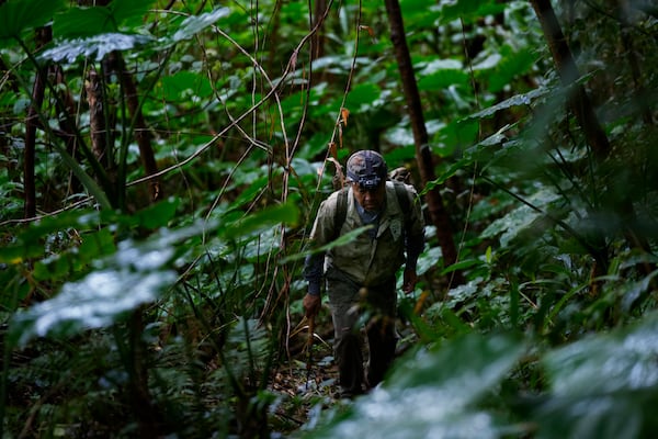 Takamatsu Gushiken heads towards a cave to search for the remains of those who died during the Battle of Okinawa towards the end of the World War II in 1945, in Itoman, on the main island of the Okinawa archipelago, southern Japan, Sunday, Feb. 16, 2025. (AP Photo/Hiro Komae)