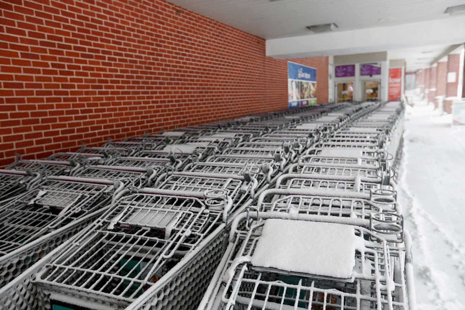 BALTIMORE, MD - JANUARY 23: Snow covers shopping carts outside a grocery store on January 23, 2016 in Baltimore, Maryland. Heavy snow continued to fall in the the Mid-Atlantic region causing blizzard conditions and affecting millions of people.  (Photo by Rob Carr/Getty Images)