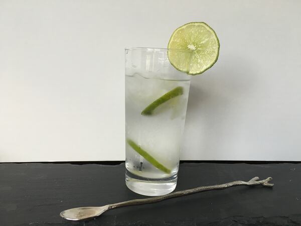  Washington's Gin Rickey/Angela Hansberger