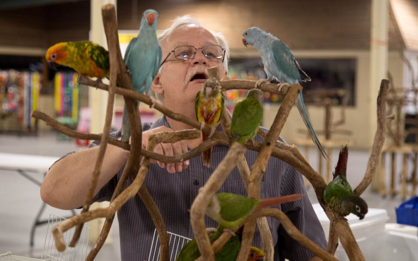 Southeast Exotic Bird Fair