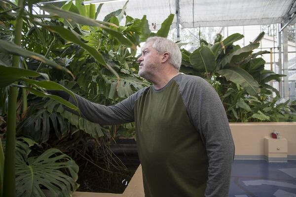 Kean Hamilton, director of WaterHub Operations, surveys the plants inside the WaterHub at the Emory University main campus in Atlanta. The WaterHub has helped reduce the university’s water use by up to 146 million gallons each year. ALYSSA POINTER / ALYSSA.POINTER@AJC.COM