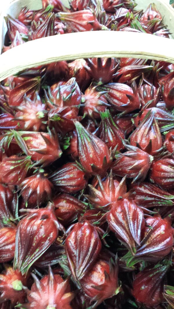 Fresh roselle from Fry Farm