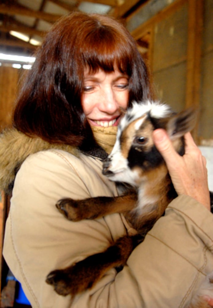 Want milk? A clean yard? Get a goat