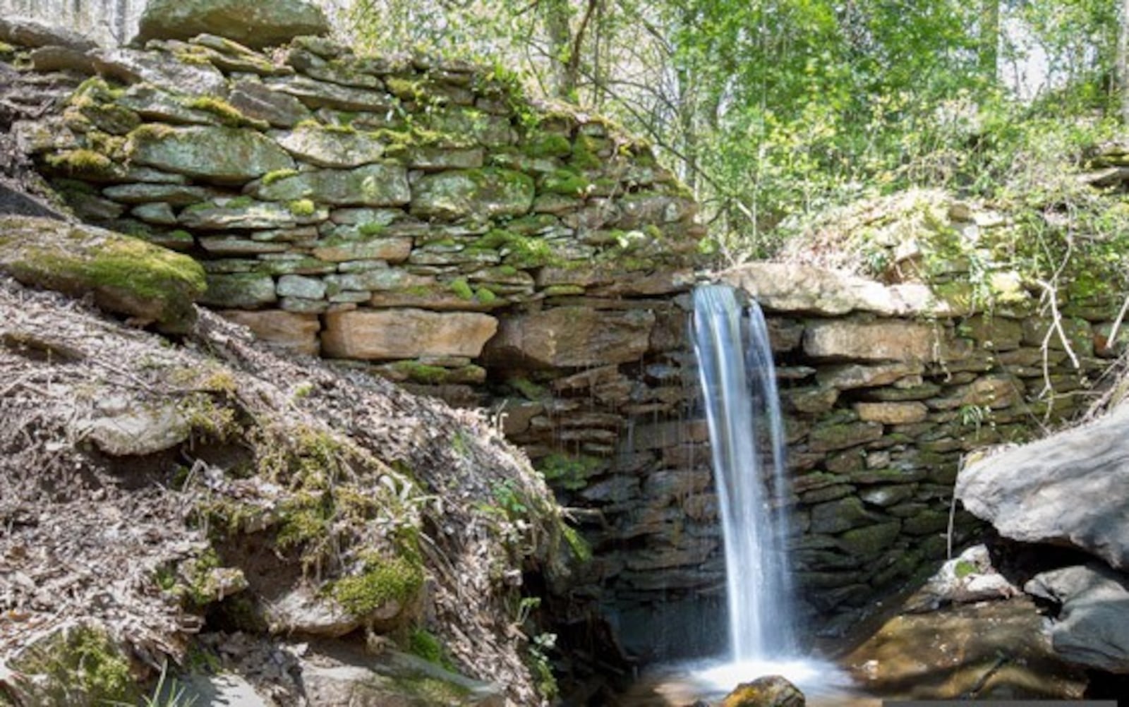 Sope Creek Trail winds through 1.5 miles of beautiful terrain.