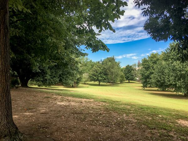 The Historic Oakland Foundation is raising money to help preserve Oakland Cemetery’s more than 1,600 trees. CONTRIBUTED