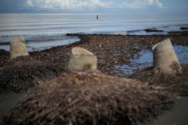 A fisher walks in the water after setting up a fishing net near a beach in Budong-Budong, West Sulawesi Island, Indonesia, Monday, Feb. 24, 2025. (AP Photo/Dita Alangkara)