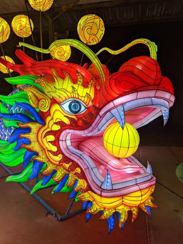 It’s the Chinese Year of the Dragon, and an illuminated one greets guests at the Winter Lantern Festival. Courtesy of Winter Lantern Festival