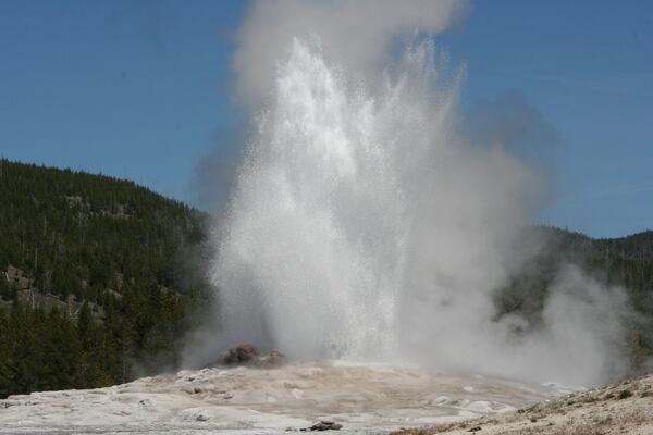 Old Faithful's eruptions are anywhere from about an hour to 110 minutes apart, dispelling the myth that it flares up every hour on the hour. (Mary Ann Anderson/TNS)