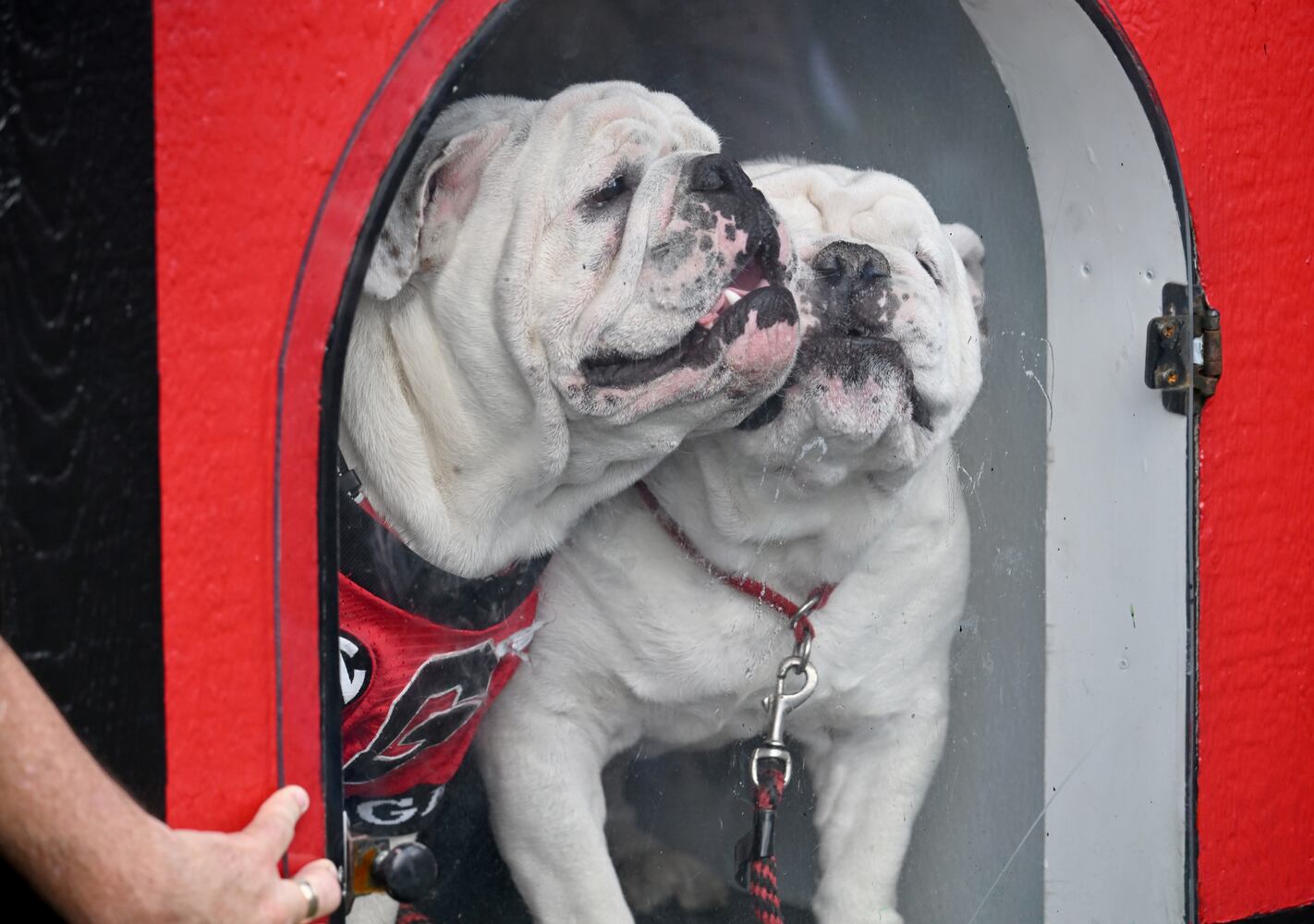 Georgia spring game