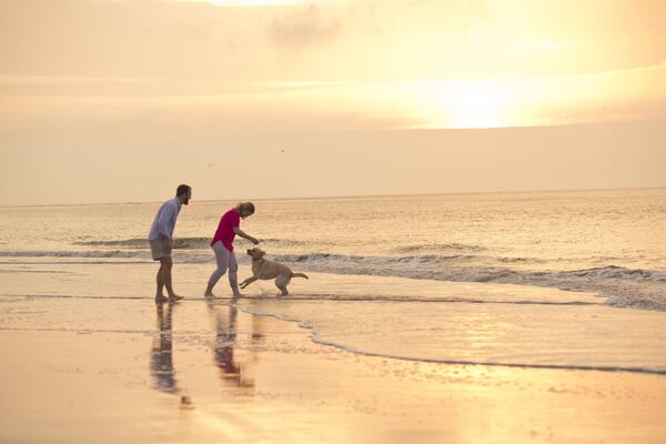 The beaches on St. Simons Island are that rare breed that allow you to have your dog off-leash at certain times.
Courtesy of Explore Georgia