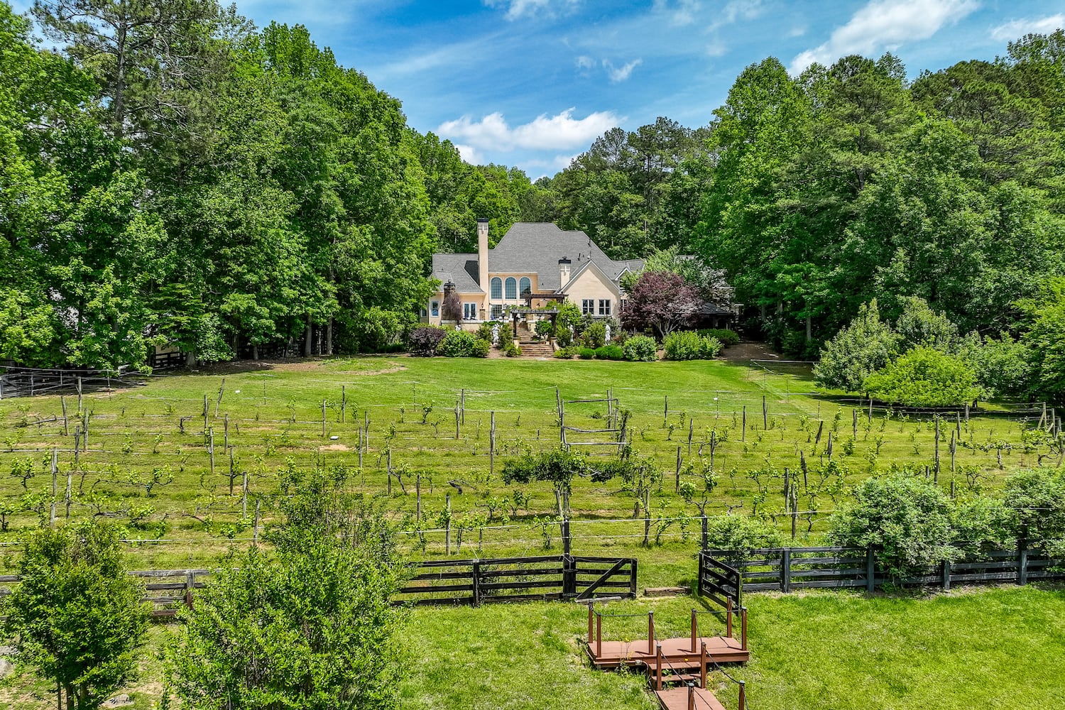 Luxurious Atlanta estate going to auction is both a ranch and a vineyard