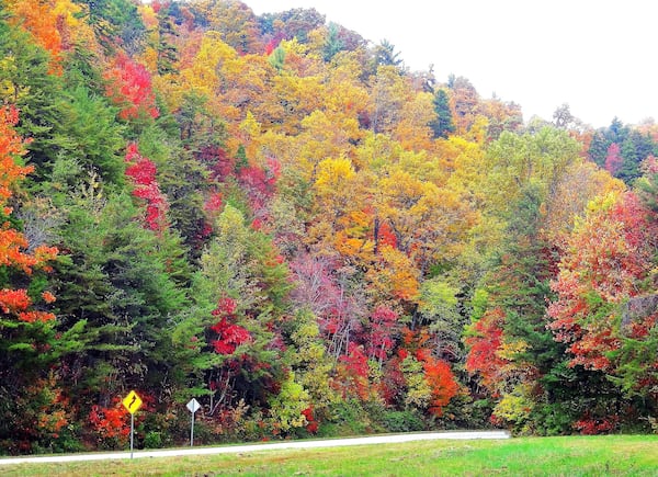 Fall leaf color, from last year, along the Richard B. Russell Scenic Highway (Ga. 348), which begins just outside Helen in White County. The highway, one of Georgia’s prime fall leaf-watching routes, runs through the Chattahoochee National Forest and is part of the Russell-Brasstown Scenic Byway. PHOTO CREDIT: Charles Seabrook